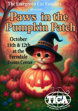 Paws in the Pumpkin Patch show poster